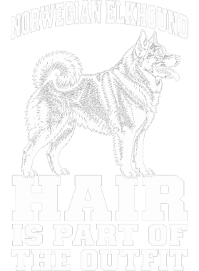 /products/1/404/171/overlays/40417107.png img