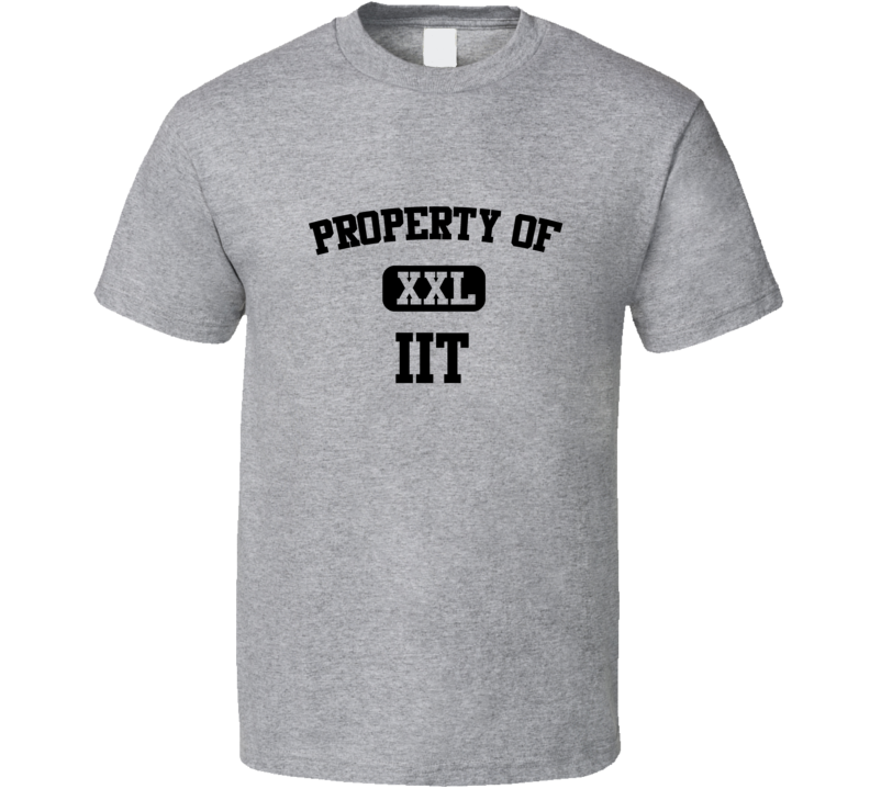 Property of IIT XXL Illinois Institute of Technology T Shirt Property of IIT XXL Illinois Institute of Technology T Shirt