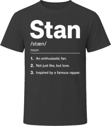 Stan Definition Funny Gen Z Gift T Shirt
