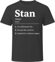 Stan Definition Funny Gen Z Gift T Shirt