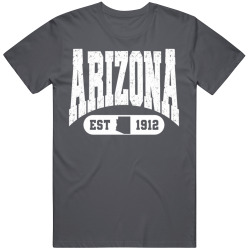 ARIZONA Collegiate Arch. Vintage Varsity Athletic State Pride T Shirt
