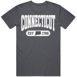 CONNECTICUT Collegiate Arch. Vintage Varsity Athletic State Pride T Shirt