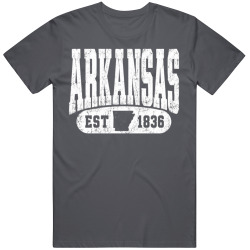ARKANSAS Collegiate Arch. Vintage Varsity Athletic State Pride T Shirt