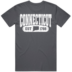 CONNECTICUT Collegiate Arch. Vintage Varsity Athletic State Pride T Shirt