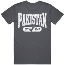 PAKISTAN Collegiate Arch. Vintage Varsity Regional Pride T Shirt