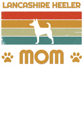 /products/2/403/721/overlays/40372175.png img