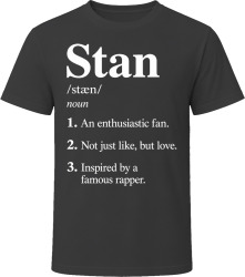Stan Definition Funny Gen Z Gift T Shirt