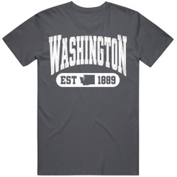 WASHINGTON Collegiate Arch. Vintage Varsity Athletic State Pride T Shirt