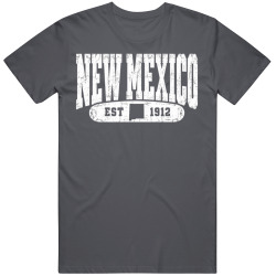 NEW MEXICO Collegiate Arch. Vintage Varsity Athletic State Pride T Shirt
