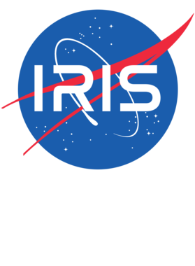 Iris NASA Logo Your Name Space Agency T Shirt