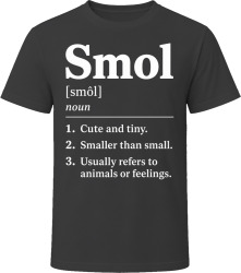 Smol Definition Funny Gen Z Gift T Shirt