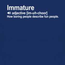 Immature How Boring People Describe Fun People Funny Parody Dictionary T Shirt 1037771