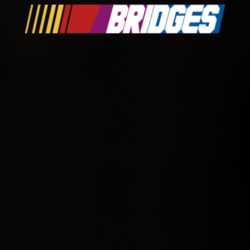 Bridges Nascar Driver Custom Last Name Special T Shirt 10394421