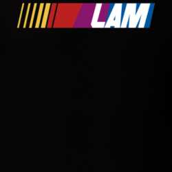 Lam Nascar Driver Custom Last Name Special T Shirt 10395112