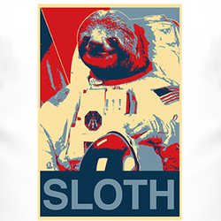 Astronaut Sloth Funny Hope Poster Meme T Shirt 11431