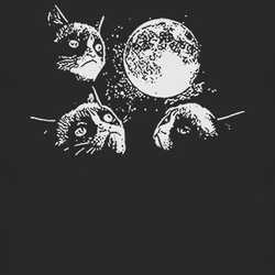 Three Grumpy Cat Moon Wolf Moon Tard Animal Funny Parody T Shirt 13256