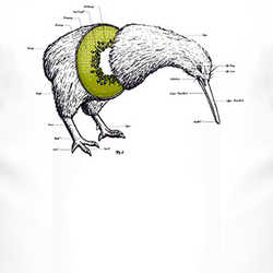 Kiwi Anatomy Bird Fruit New Zealand Funny Hilarious T Shirt 13400