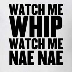 Watch Me Whip Watch Me Nae Nae T Shirt 14532285