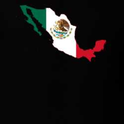 Mexico Flag Map T Shirt 22646979
