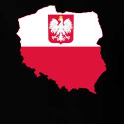Poland Flag Map T Shirt 22646982