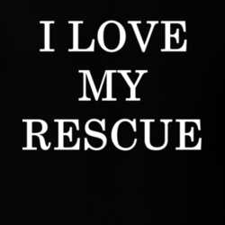 I Love My Rescue National Dog Day T Shirt 24142435