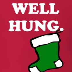 Well Hung Green Stocking Funny Christmas Shirt 25379722