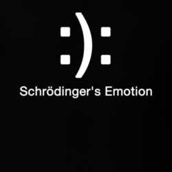 Schrodinger Emotions Funny ASCII T Shirt 25713507