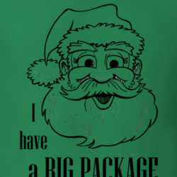 I Have A Big Package Funny Christmas Shirt 25911004