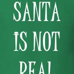 Santa Is Not Real Funny Rude Christmas Shirt 25913884
