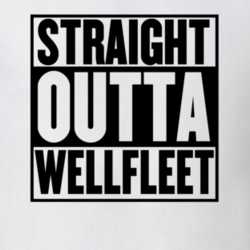 Straight Outta Wellfleet Custom Parody T Shirt 28784592