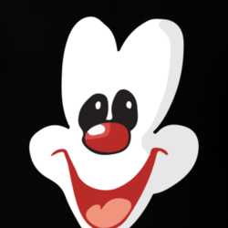 Animaniacs Wakko Kids TV Show Full Face Character T Shirt 29819372