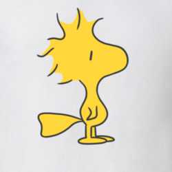 Woodstock Peanuts Tv Show Character T Shirt 30989667