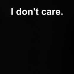 I Don't Care Brutally Honest T Shirt 31030191