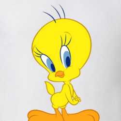 Tweety Bird Looney Toons Retro Cartoon Tv Show T Shirt 31049311