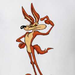 Wild E Coyote Loney Toons Retro Cartoon Tv Show T Shirt 31049316