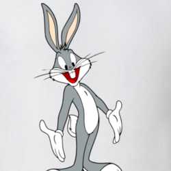 Bugs Bunny Looney Toons Retro Cartoon Tv Show T Shirt 31049323