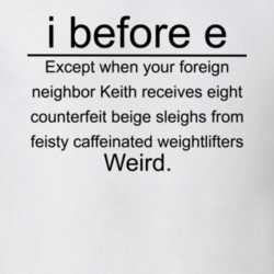 I Before E Except After C Funny Grammar T Shirt 31135373