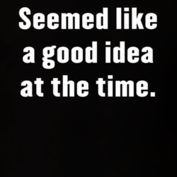 seemed like a good idea at the time shirt