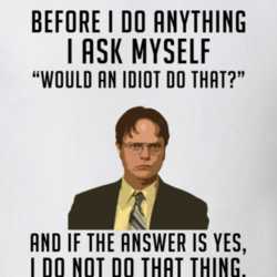 Dwight Schrute Would An Idiot Do That No The Office Funny T Shirt 31300313