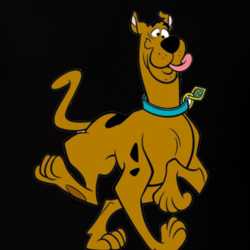 Scooby Doo Silly Dog Adventure Tv Show Cartoon T Shirt 31467691