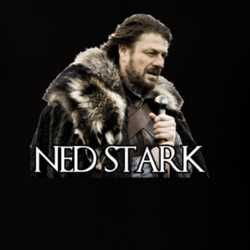 Ned Stark Game Of Thrones Character T Shirt 31473742