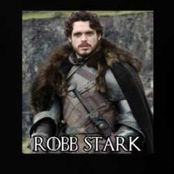 Robb Stark Game Of Thrones Character T Shirt 31473745