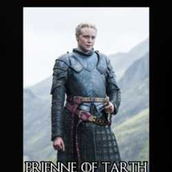 Brienne Of Tarth Game Of Thrones Character T Shirt 31473750