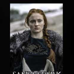 Sansa Stark Game Of Thrones Character T Shirt 31473752