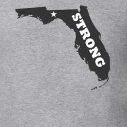 Florida Tallahassee Strong After Hurricane Irma T Shirt 31555058