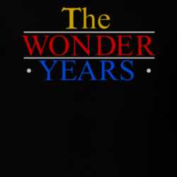 The Wonder Years 90s Tv Show T Shirt 32135675