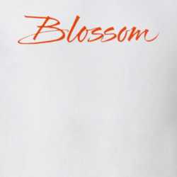 Blossom Classic 90s Tv Show Logo T Shirt 32337324