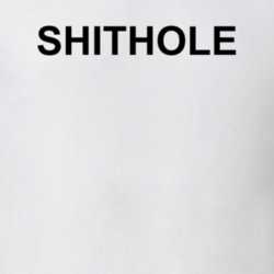 Shithole Country Funny Trump T Shirt 33195094