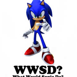 What Would Sonic Do T Shirt 36998