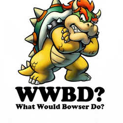 What Would Bowser Do T Shirt 37008
